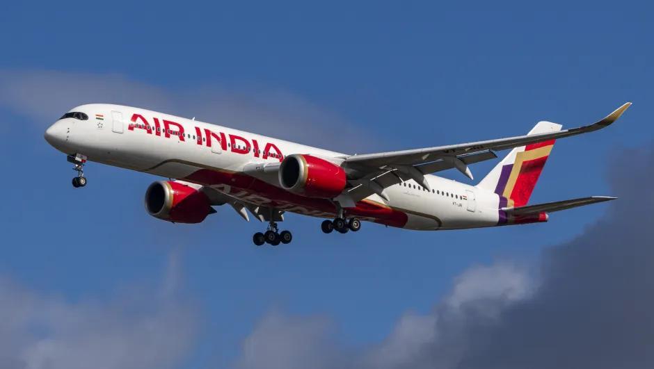 The Air India Fatal Crash: New Evidence and the Role of the RAT