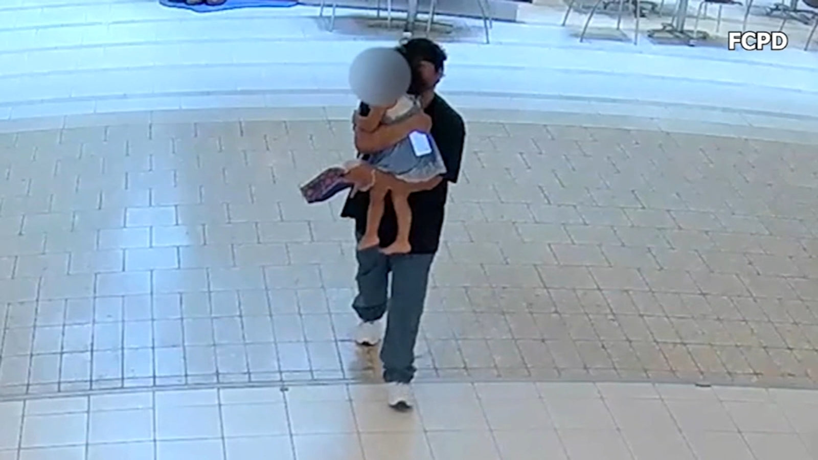 The Abduction in a Virginia Mall: A Tale of Negligence, Crime, and Policy Failures
